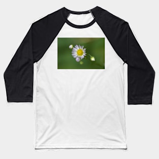 Wild flowers Baseball T-Shirt